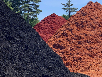 Premium Color Chips